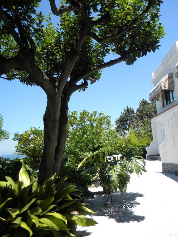 Hotel Parco Conte Casamicciola Terme Exterior photo